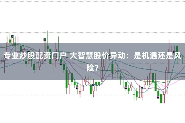 专业炒股配资门户 大智慧股价异动：是机遇还是风险？