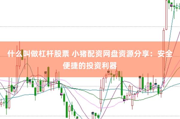 什么叫做杠杆股票 小猪配资网盘资源分享：安全便捷的投资利器