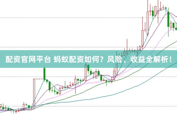 配资官网平台 蚂蚁配资如何？风险、收益全解析！