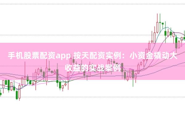 手机股票配资app 按天配资实例：小资金撬动大收益的实战案例