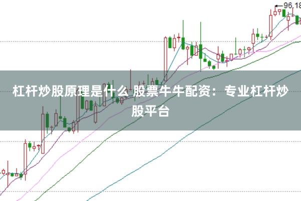杠杆炒股原理是什么 股票牛牛配资：专业杠杆炒股平台