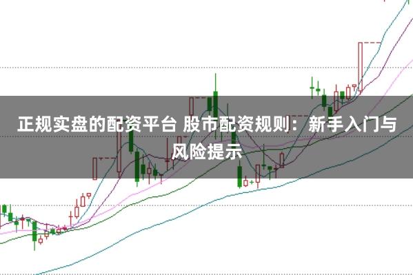 正规实盘的配资平台 股市配资规则：新手入门与风险提示