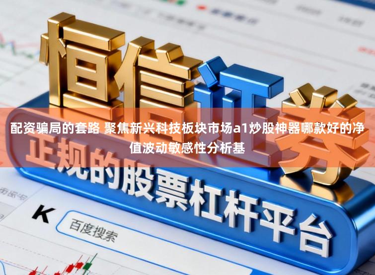 配资骗局的套路 聚焦新兴科技板块市场a1炒股神器哪款好的净值波动敏感性分析基